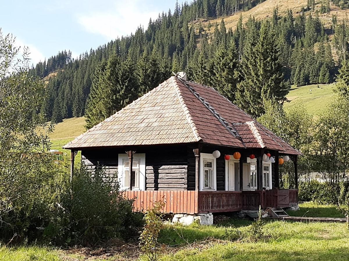 La Malu' Bistritei - Casutele Valea Stanii Hotell Eksteriør bilde